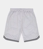 Trapstar Shooters SS23 Basketball Shorts GreyBlue (1)